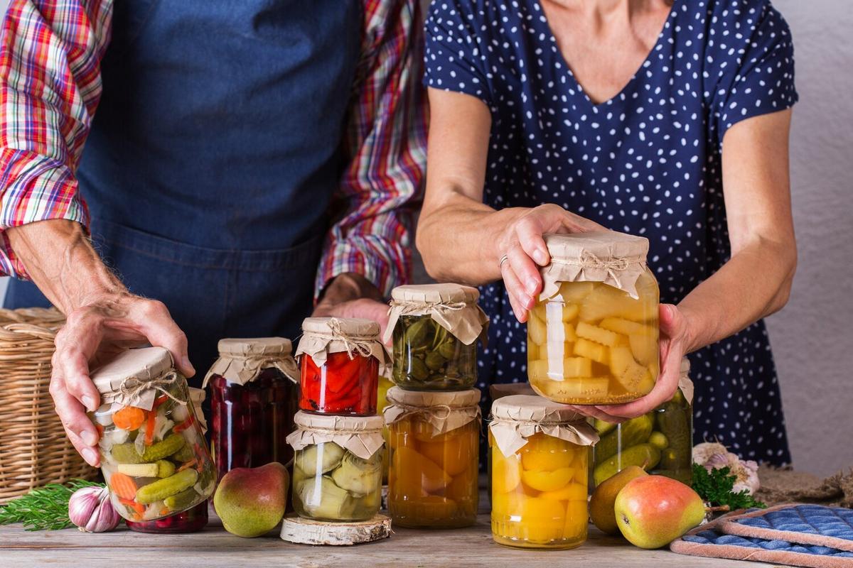 Gut Health 101: Importance of Probiotics and Prebiotics
